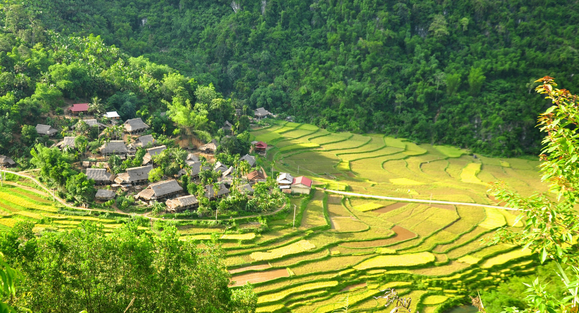 Rice terraces and a quiet village in Pu Luong nature reserve.